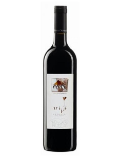 Piedirosso del Vesuvio DOC 2024  Vipt- Olivella