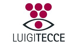 Luigi Tecce